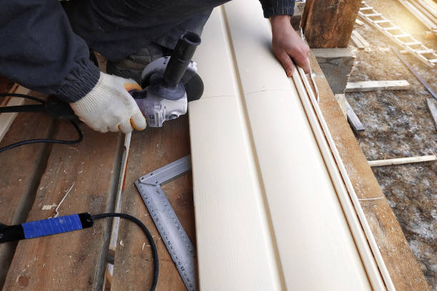 Best Historical Building Siding Restoration  in Hudson, IA