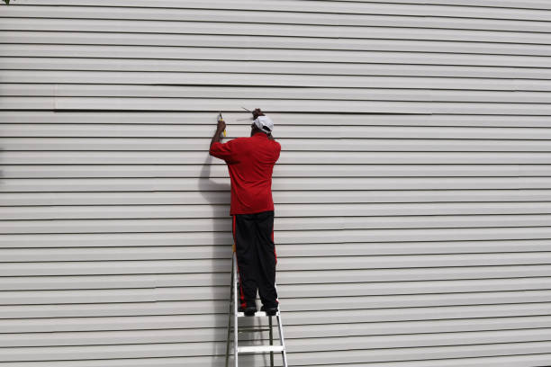 Affordable Siding Repair and Maintenance Services in Hudson, IA