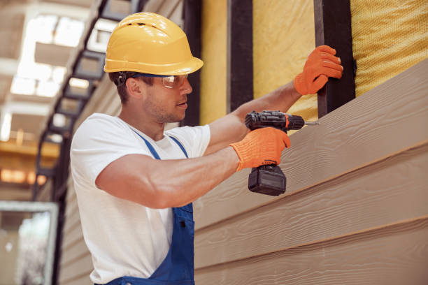 Best Siding Painting and Refinishing  in Hudson, IA