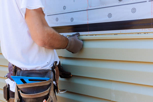 Best Vinyl Siding Installation  in Hudson, IA